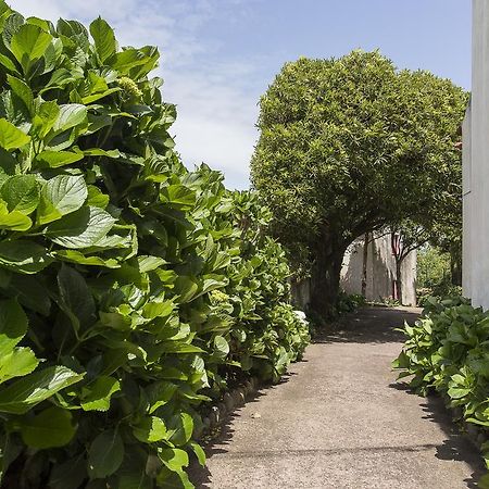 Casa Do Maranhao - Nature & Views Experience Capelas Esterno foto